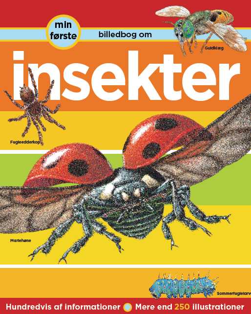 Min første billedbog om insekter