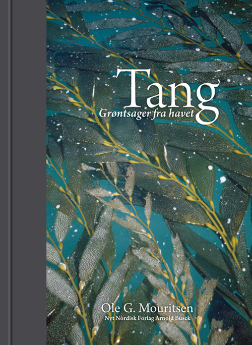 Tang : grøntsager fra havet