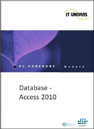 Database, Access 2010