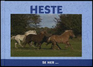 Heste