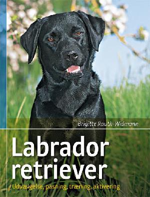 Labrador retriever : udvælgelse, pasning, træning og aktivering