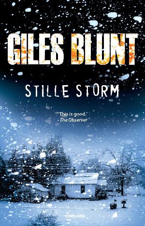 Stille storm : kriminalroman