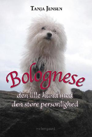 Bolognese : den lille hund med den store personlighed