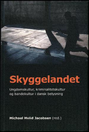Skyggelandet : ungdomskultur, kriminalitetskultur og bandekultur i dansk belysning