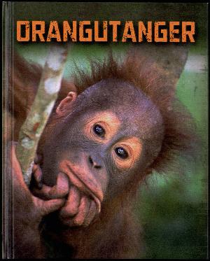 Orangutanger