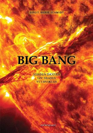Big bang : jorden dannes, liv skabes, vi udvikles