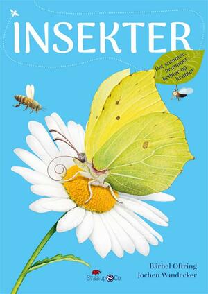 Insekter : det summer, brummer, kribler og krabler