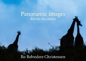 Panoramic images : panoramas shot in camera