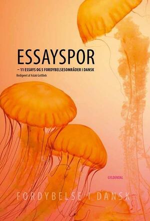 Essayspor : 11 essays og 5 fordybelsesområder i dansk