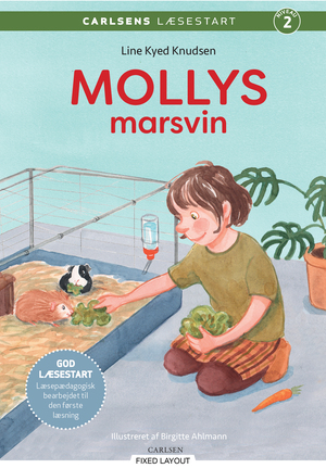 Mollys marsvin