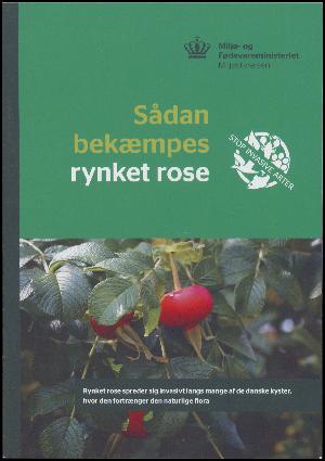 Sådan bekæmpes rynket rose : rynket rose spreder sig invasivt langs mange af de danske kyster, hvor den fortrænger den naturlige flora