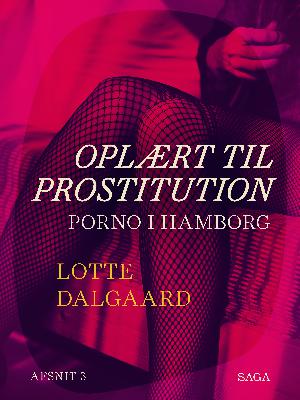 Oplært til prostitution. 3 : Porno i Hamborg