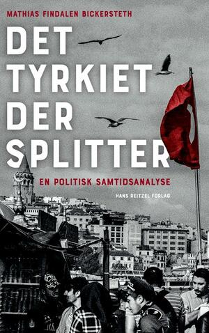 Det Tyrkiet der splitter : en politisk samtidsanalyse af Det Nye Tyrkiet
