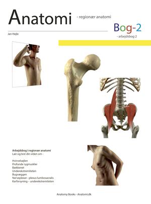 Anatomi - studie : arbejdsbog. Bog 2 : Regionær anatomi
