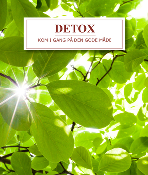 Detox : kom i gang på den gode måde