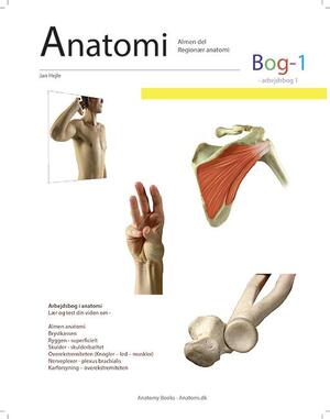 Anatomi - studie : arbejdsbog. Bog 1 : Almen del, regionær anatomi 1