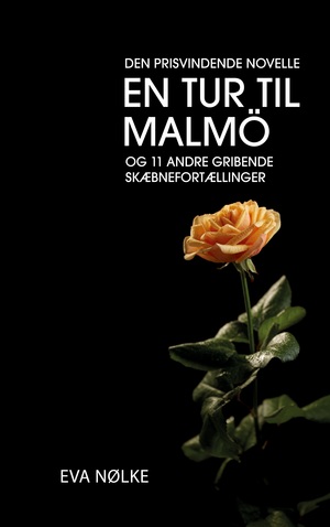 En tur til Malmö og 11 andre gribende skæbnefortællinger
