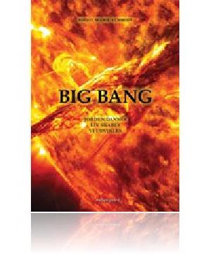 Big bang : jorden dannes, liv skabes, vi udvikles