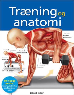 Træning og anatomi