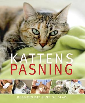 Kattens pasning
