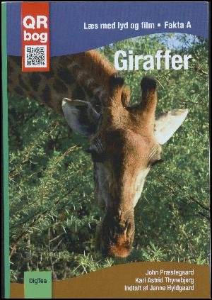 Giraffer