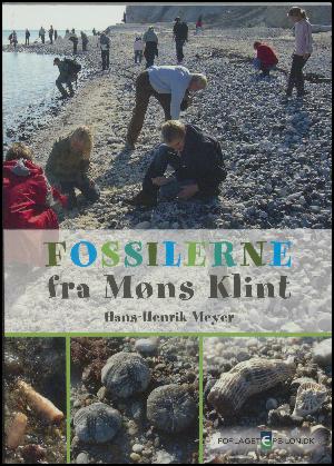 Fossilerne fra Møns Klint