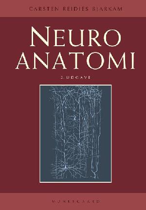 Neuroanatomi