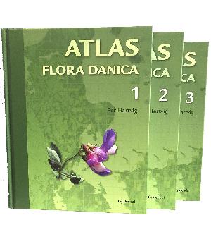 Atlas Flora Danica. Bind 3 : Artsoversigt/udbredelse fortsat