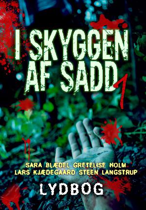 I skyggen af Sadd : 4 forfattere, 4 historier, een roman