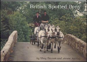 British spotted pony