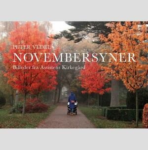 Novembersyner : billeder fra Assistens Kirkegård