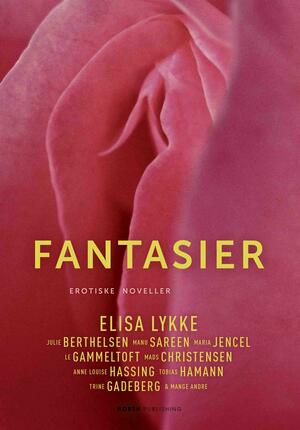 Fantasier : erotiske noveller skrevet af kendte danskere