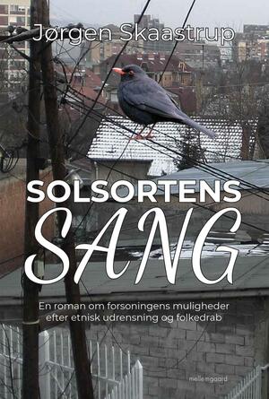 Solsortens sang : en roman om forsoningens muligheder efter etnisk udrensning og folkedrab