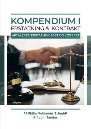 Kompendium i erstatning & kontrakt : aftaleret, erstatningsret og køberet