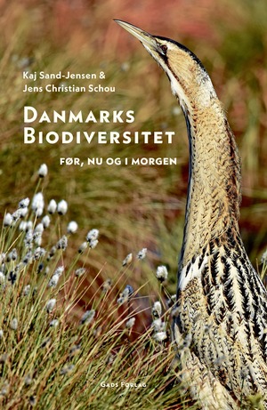 Danmarks biodiversitet : før, nu og i morgen