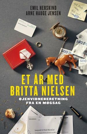 Et år med Britta Nielsen : øjenvidneberetning fra en møgsag