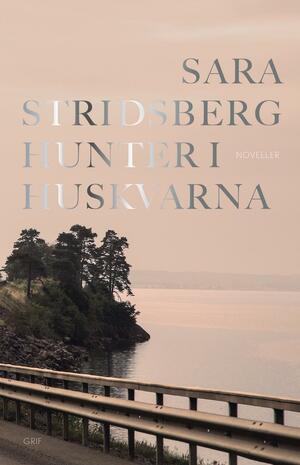 Hunter i Huskvarna : noveller