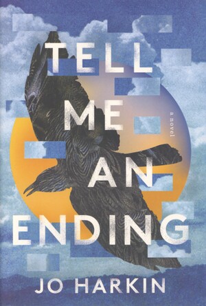 Tell me an ending : a novel