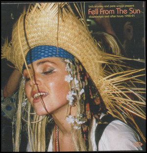 Fell from the sun : downtempo and after hours 1990-1991